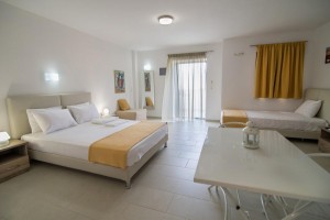 apartment sarti Platania House